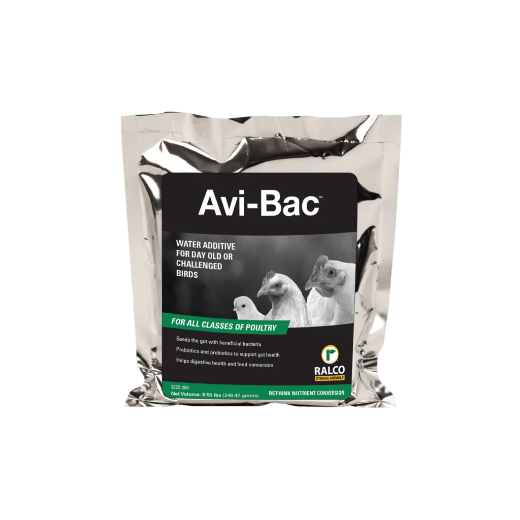 Avi bac