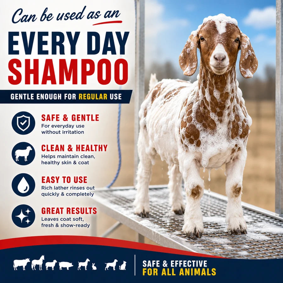 RING OUT SHAMPOO & SOAP 32 OZ