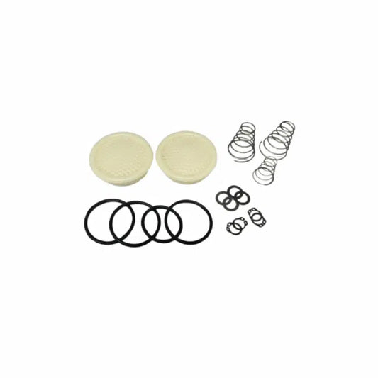 Vacuum Pump Valve Repair Kit