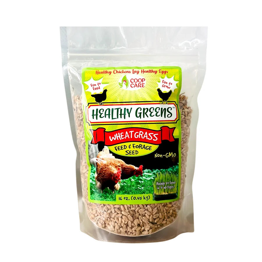 WHEAT GRASS FEED
