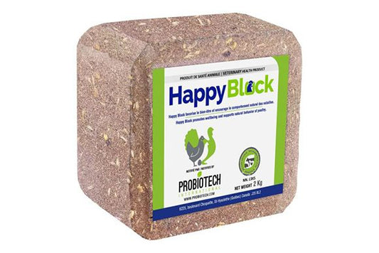 HAPPY BLOCK 4.4 LBS